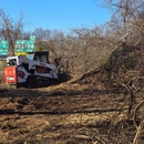 Beast Mode Tree Service - Tree Service