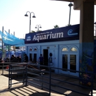 Santa Monica Pier Aquarium