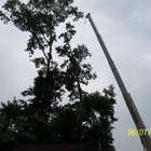 Bills A1 Professional Tree Service