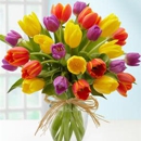 Amazing Flowers - Florists