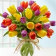 Amazing Flowers & Gifts
