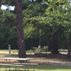 Texarkana KOA Journey gallery