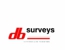 D B Surveys Logo