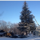 Entire Tree Service - Tree Service