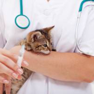 Emergency Pet Hospital - Naples, FL