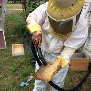 American Beekeeping - Wichita, KS