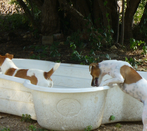 Southern Star Ranch Boarding Kennel & K9 Training Center - Florence, TX