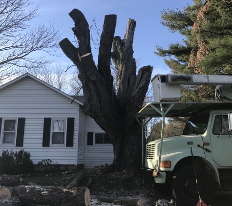 Vail tree service - Fulton, NY