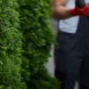 Prestige Tree Service gallery