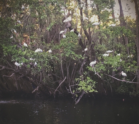 Enchanted Forest Park - North Miami, FL