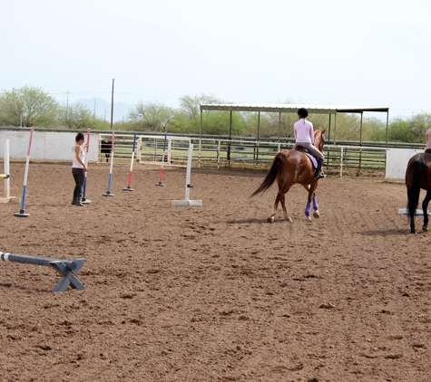 Desert Bloom Horse Training and Sales - San Tan Valley, AZ