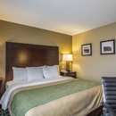 Comfort Inn - Motels