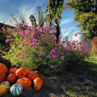 Benton Family Farm