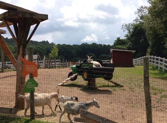 Brookhollow's Barnyard - Boonton, NJ