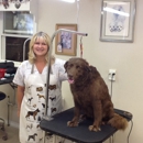 Bow-Wow Boutique - Pet Grooming