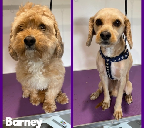 Orchard Hills Veterinary Hospital - Orchard Hills, NSW