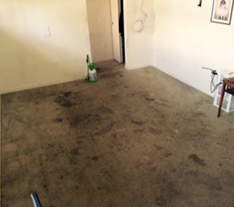 Ray's Carpet Cleaning and Repair - Chico, CA