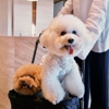 Charlie-jo's Travels gallery