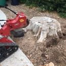 Nubbs Stump Removal - Stump Removal & Grinding