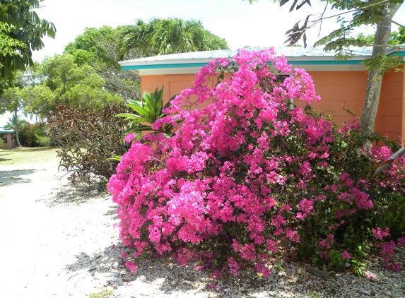 Rock Reef Resort - Key Largo, FL