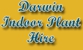 Darwin Indoor Plant Hire - Indoor Plant Hire