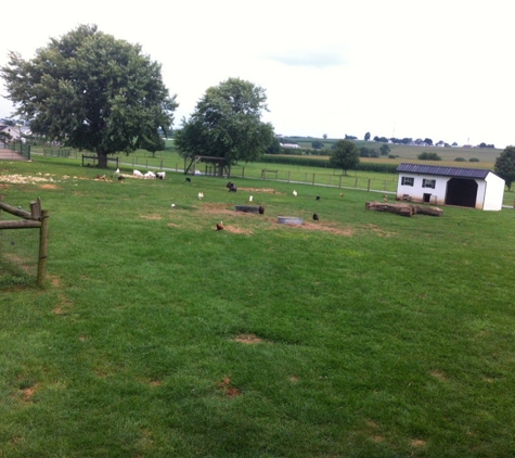 Country Side Road Stand - Ronks, PA