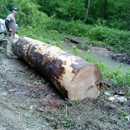 Pemberton Tree Service - Firewood