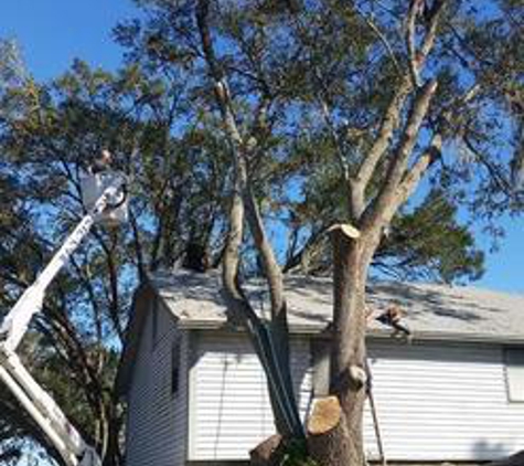 JW Tree Work Inc. - Lakeland, FL