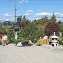 West Valley Nursery & Landscape Supply - Christmas Trees