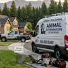 Animal Exterminators of Spokane gallery