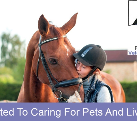 Port Augusta Veterinary Services - Port Augusta, SA. Dedicated To Caring For Pets And Livestock
