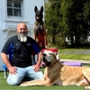 Lead The Way Dog Training gallery