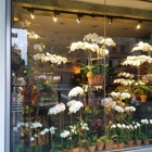 Lenox Hill Florist & Events