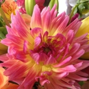 Floral Arts of Westford - Flowers, Plants & Trees-Silk, Dried, Etc.-Retail