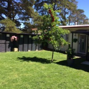 Gallery Image Number 2