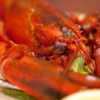 Lobster Tail Restaurant & Fish Market gallery