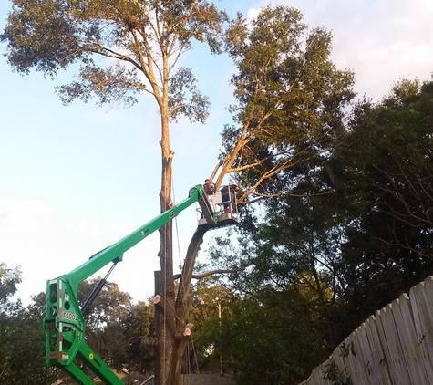 Blaze Tree Service Inc - Orlando, FL