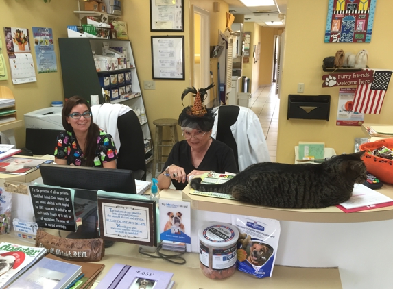 Sandalfoot Animal Clinic and Bird Hospital - Boca Raton, FL