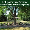 Dan's Tree Service Inc. gallery