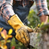 Tim's Tree Service gallery