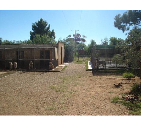 Kellmann Kennels - Templers, SA