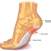 Southernmost Foot & Ankle Spec gallery