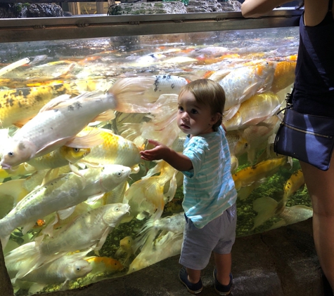 Austin Aquarium - Austin, TX