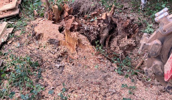 Absolute Stump Grinding - Crestwood, KY