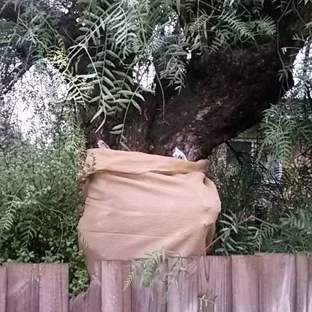 Davco Pest Control (Contact David Combridge) - Traralgon, VIC