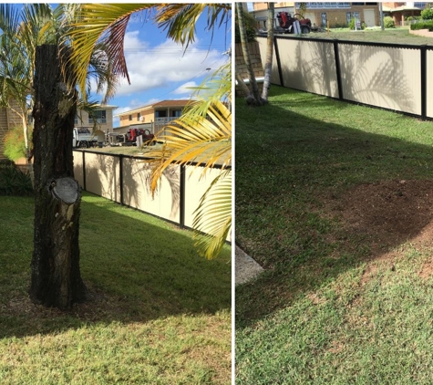 Active Tree Fellas - Urangan, QLD