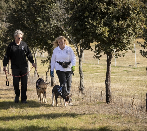 Truffle Hunting at L'air du Wombat - Oallen, NSW