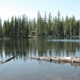 McKenzie River Reflections