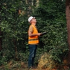 Edgewood Tree Service gallery