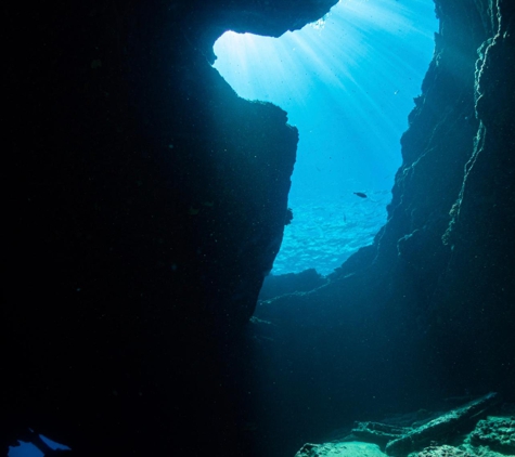 Fathom Five Divers - Koloa, HI